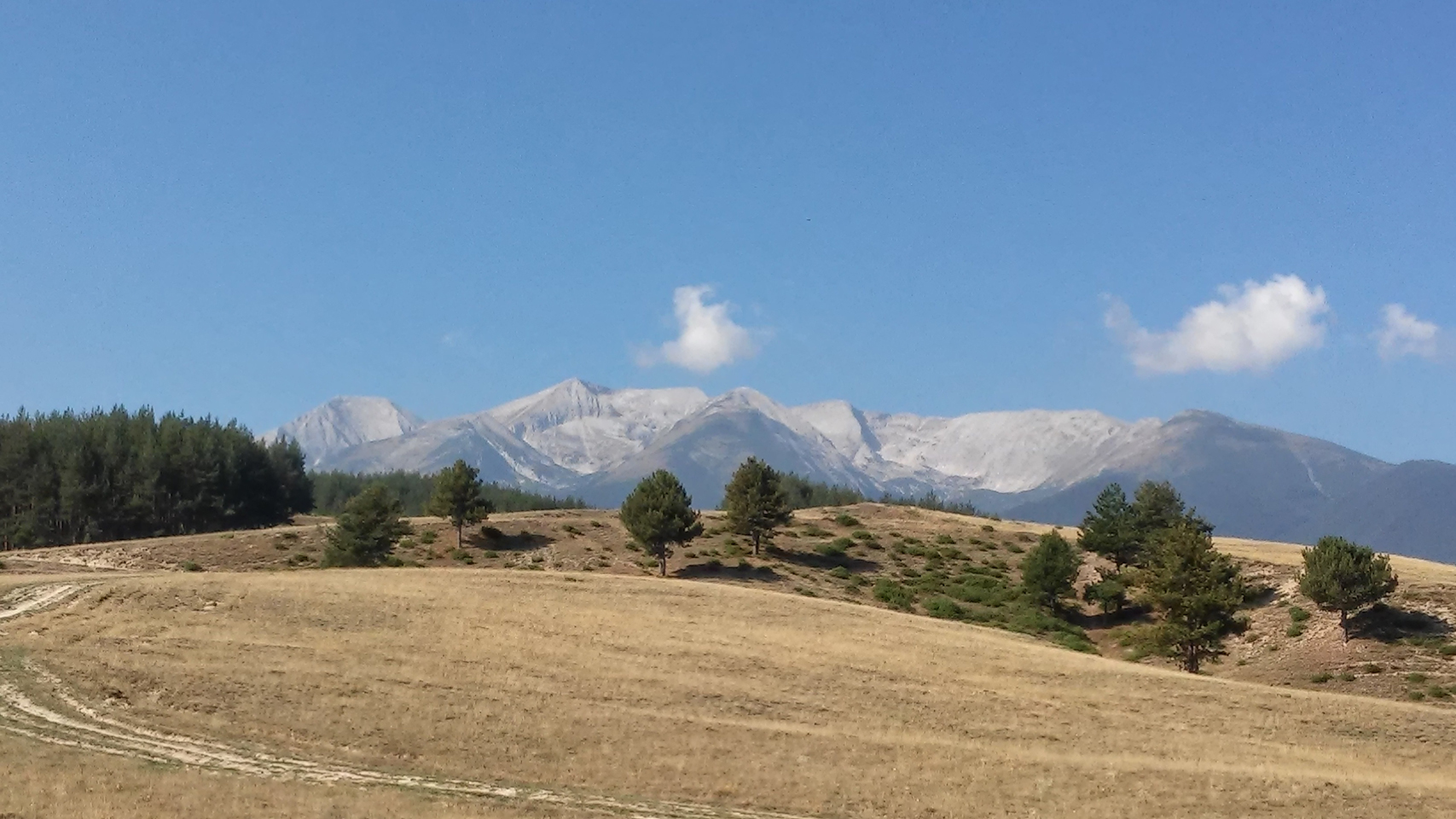 HDR Bracket = 0,8 FaceNum=0 FocusArea=111111111